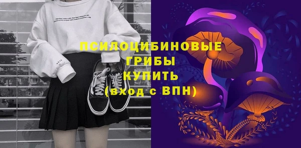 apvp Елабуга