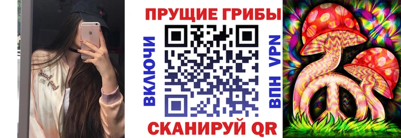 Галлюциногенные грибы Psilocybe  Купить  Киренск 